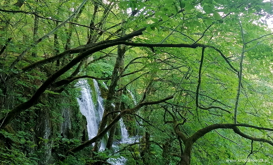 Jeziora Plitvickie wodospad